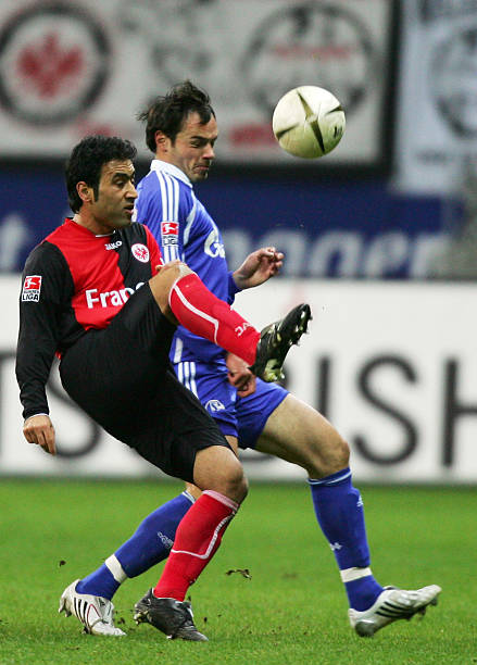 尽管拜仁在 尽管拜仁在